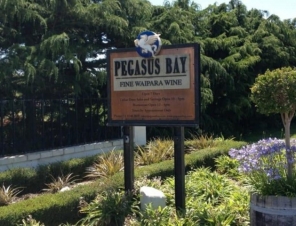 Pegasus bay